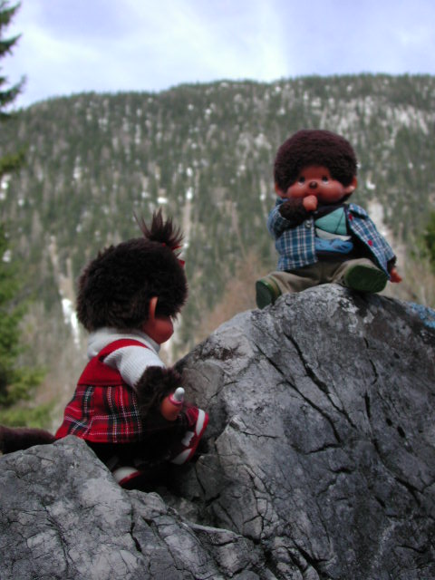 montain climbing  in the alps